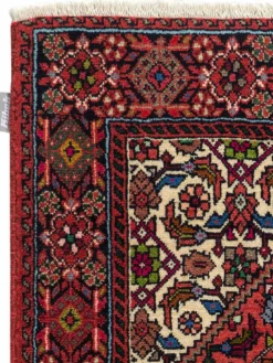 Goltogh|Kibek Discount