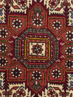 Goltogh|Kibek Discount