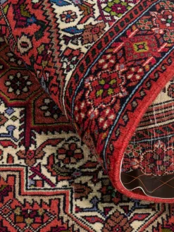 Goltogh|Kibek Discount