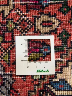 Goltogh|Kibek Discount