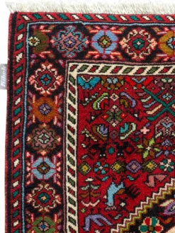 Goltogh|Kibek Online