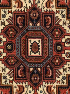 Goltogh|Kibek Outlet