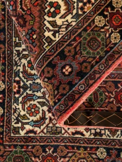 Goltogh|Kibek Outlet