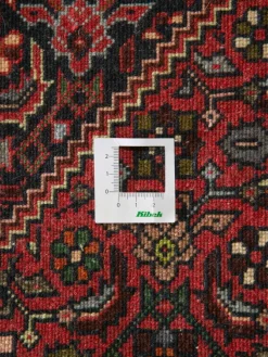 Goltogh|Kibek Discount