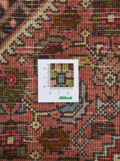 Goltogh|Kibek Outlet