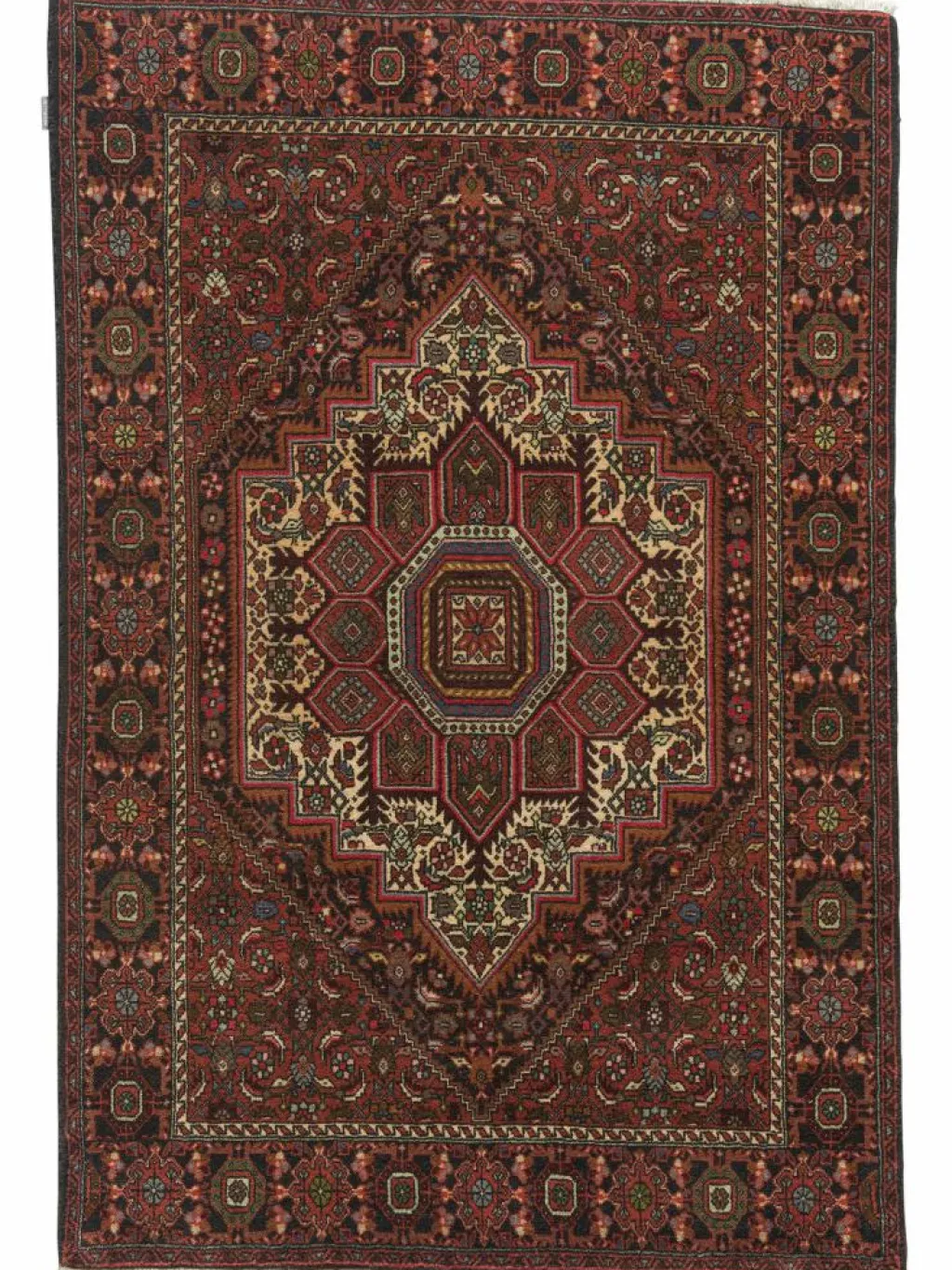 Goltogh|Kibek Outlet