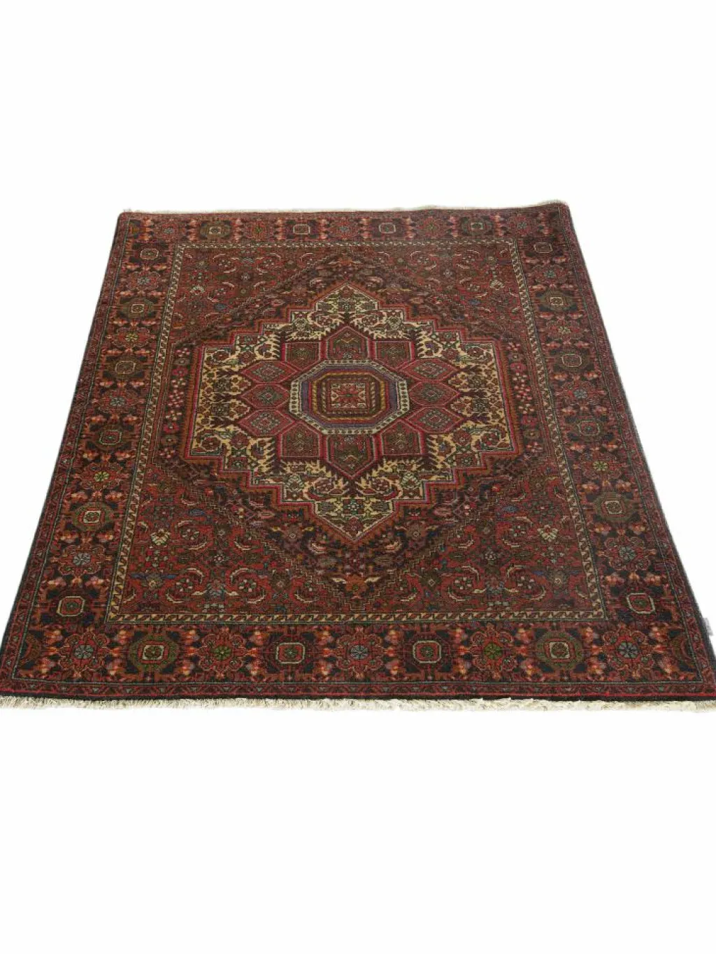 Goltogh|Kibek Outlet