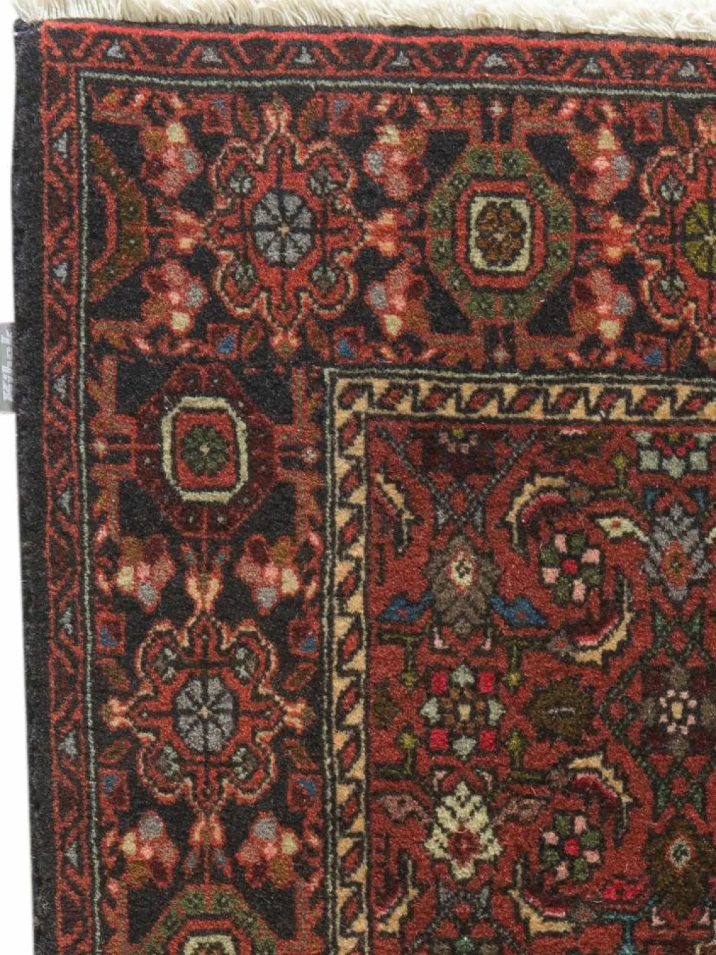 Goltogh|Kibek Outlet