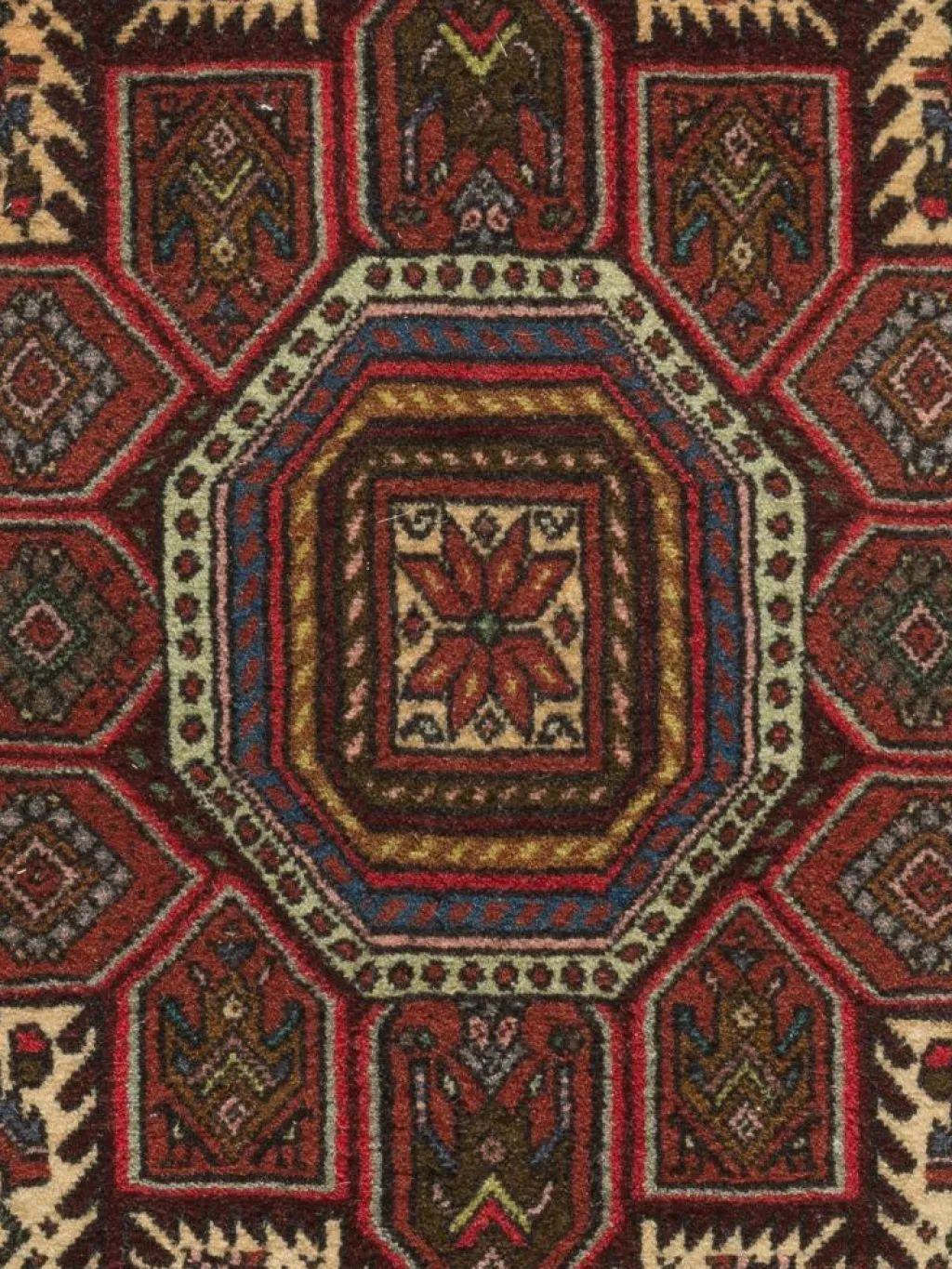 Goltogh|Kibek Outlet