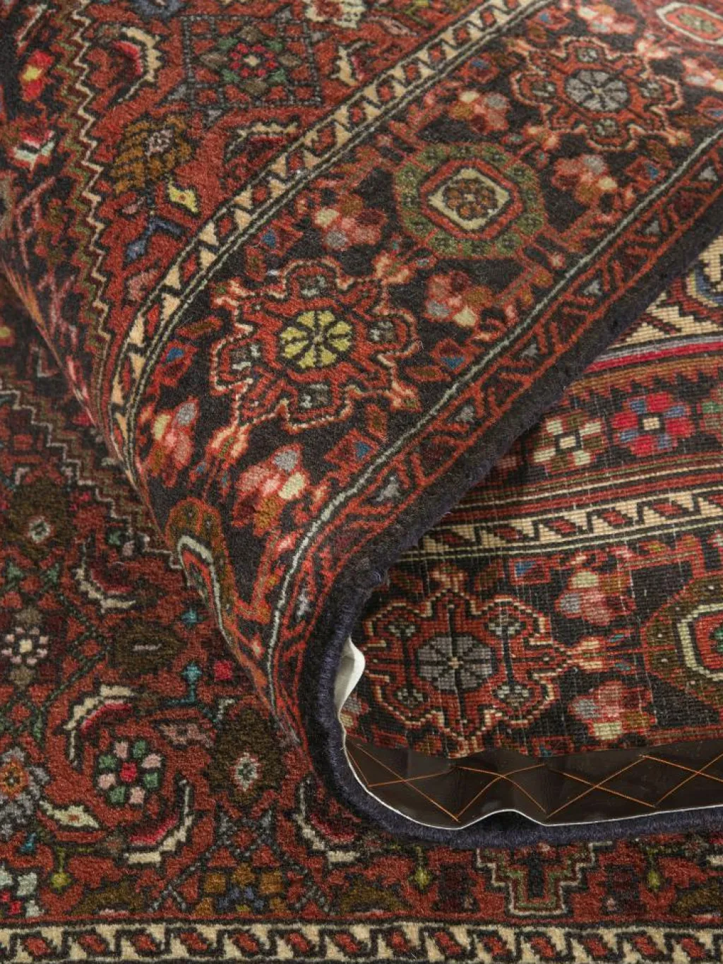 Goltogh|Kibek Outlet