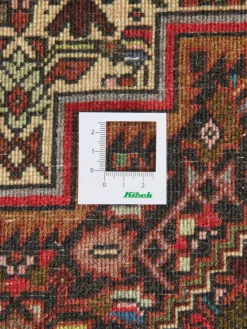 Goltogh|Kibek Outlet