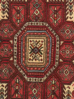 Goltogh|Kibek Online