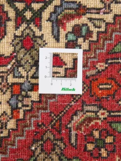 Goltogh|Kibek Online