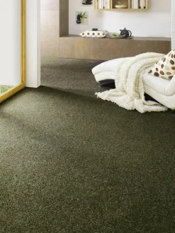 Green Line|Kibek Clearance