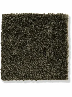 Green Line|Kibek Clearance