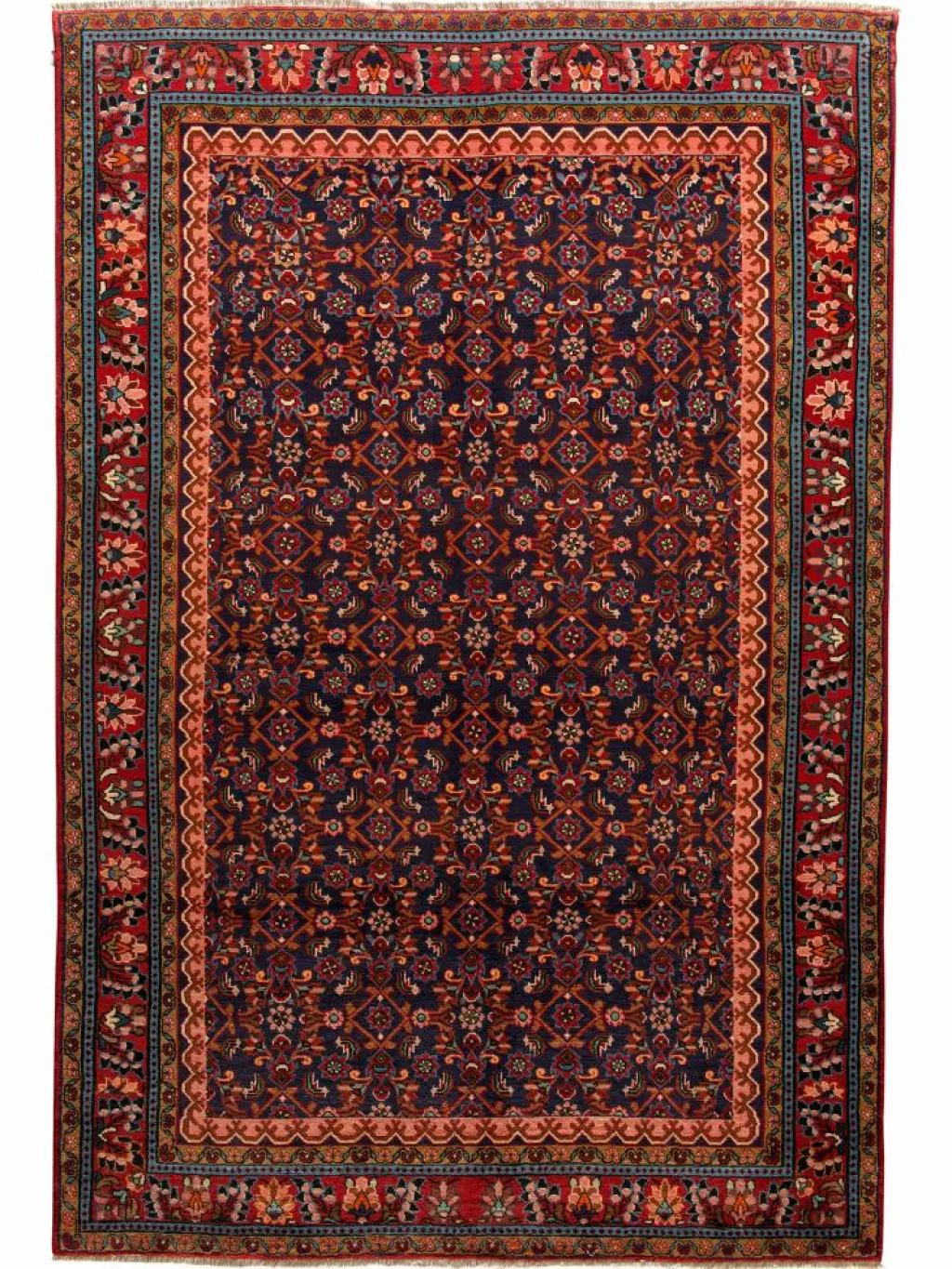 Kabutarahang Hamadan|Kibek Best