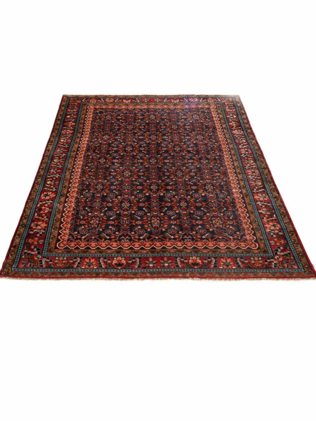 Kabutarahang Hamadan|Kibek Best