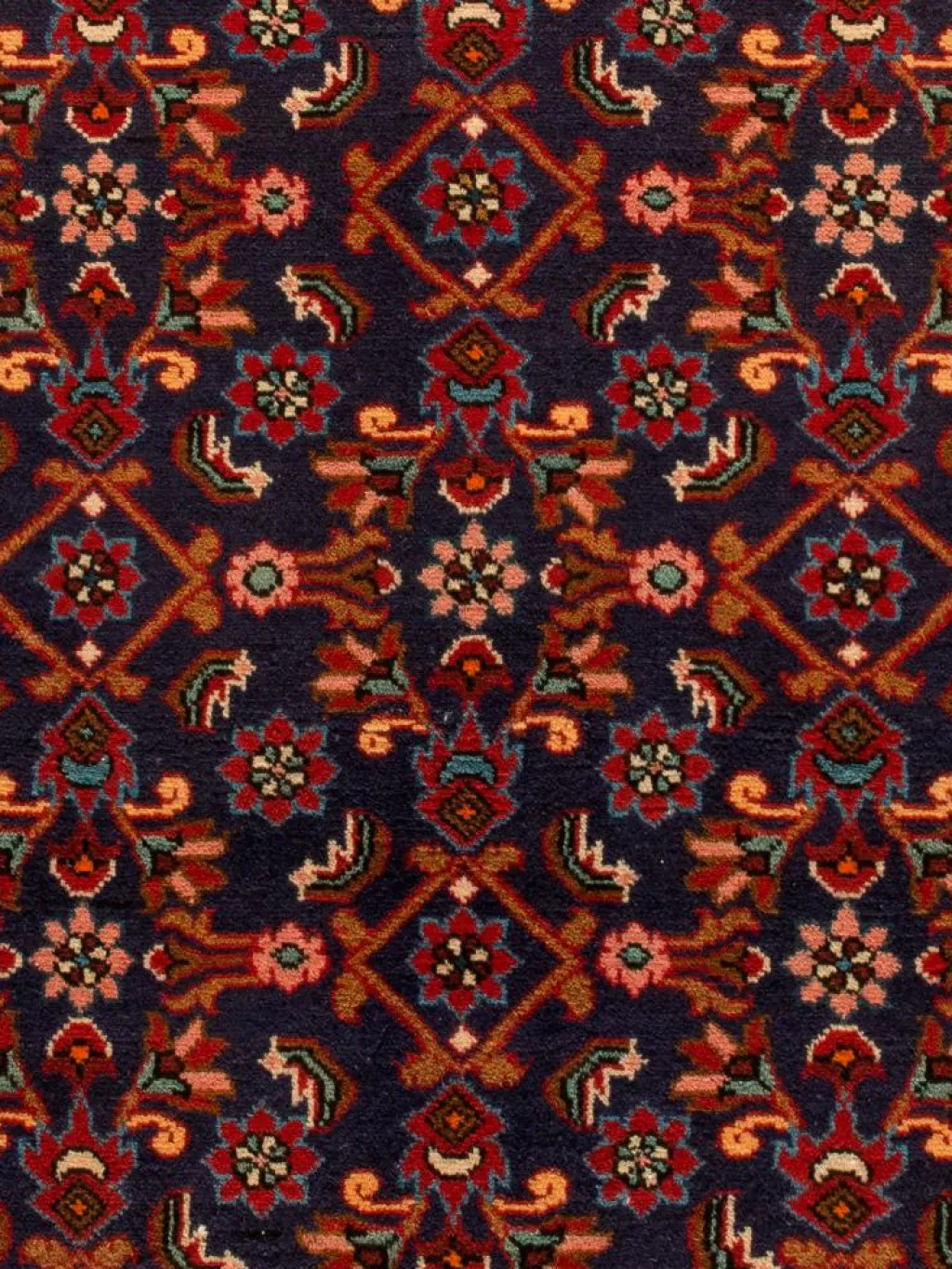 Kabutarahang Hamadan|Kibek Best