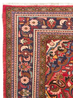 Kabutarahang Hamadan|Kibek Sale