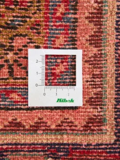 Kabutarahang Hamadan|Kibek Sale