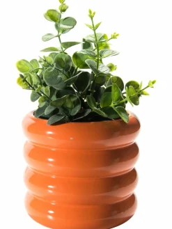 Kandell|Kibek Clearance