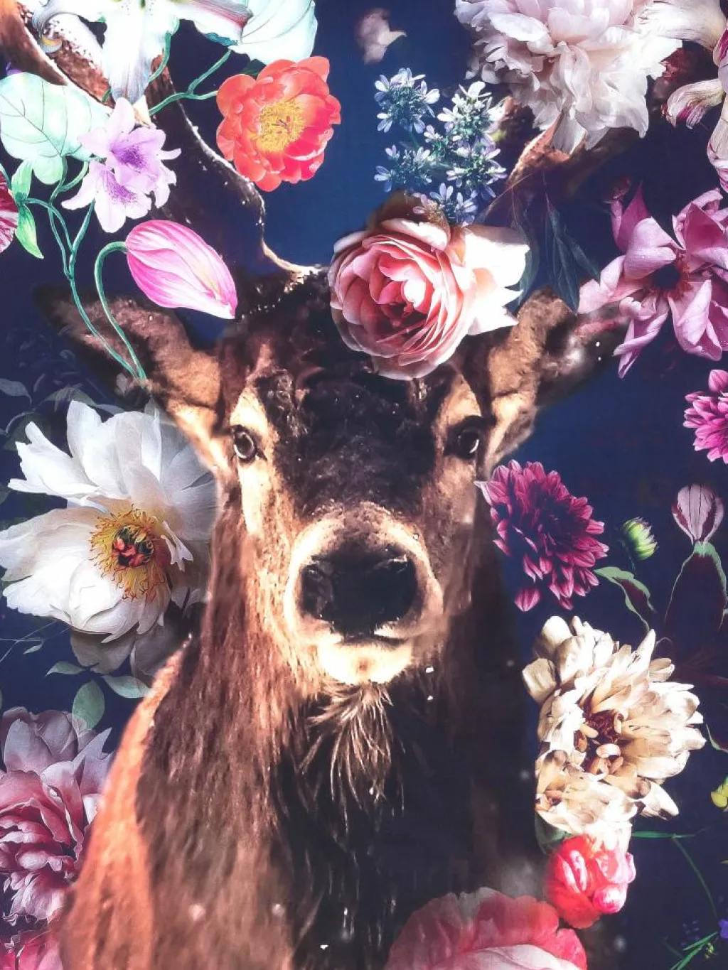 Karmelita|Kibek Best