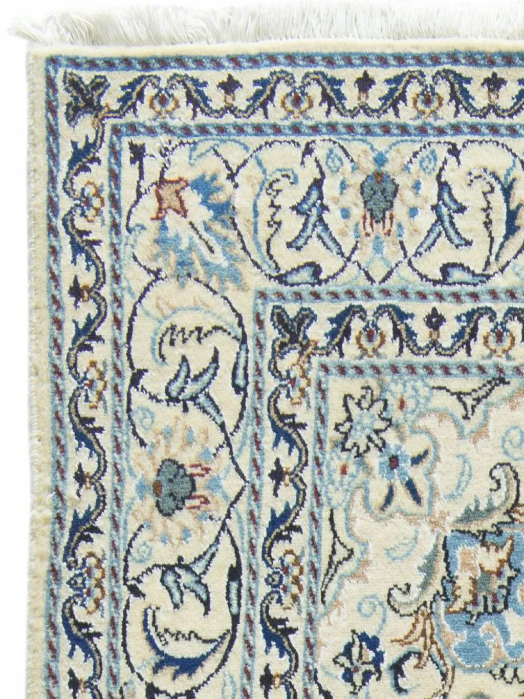 Kaschmar Nain 12 Lah|Kibek Discount