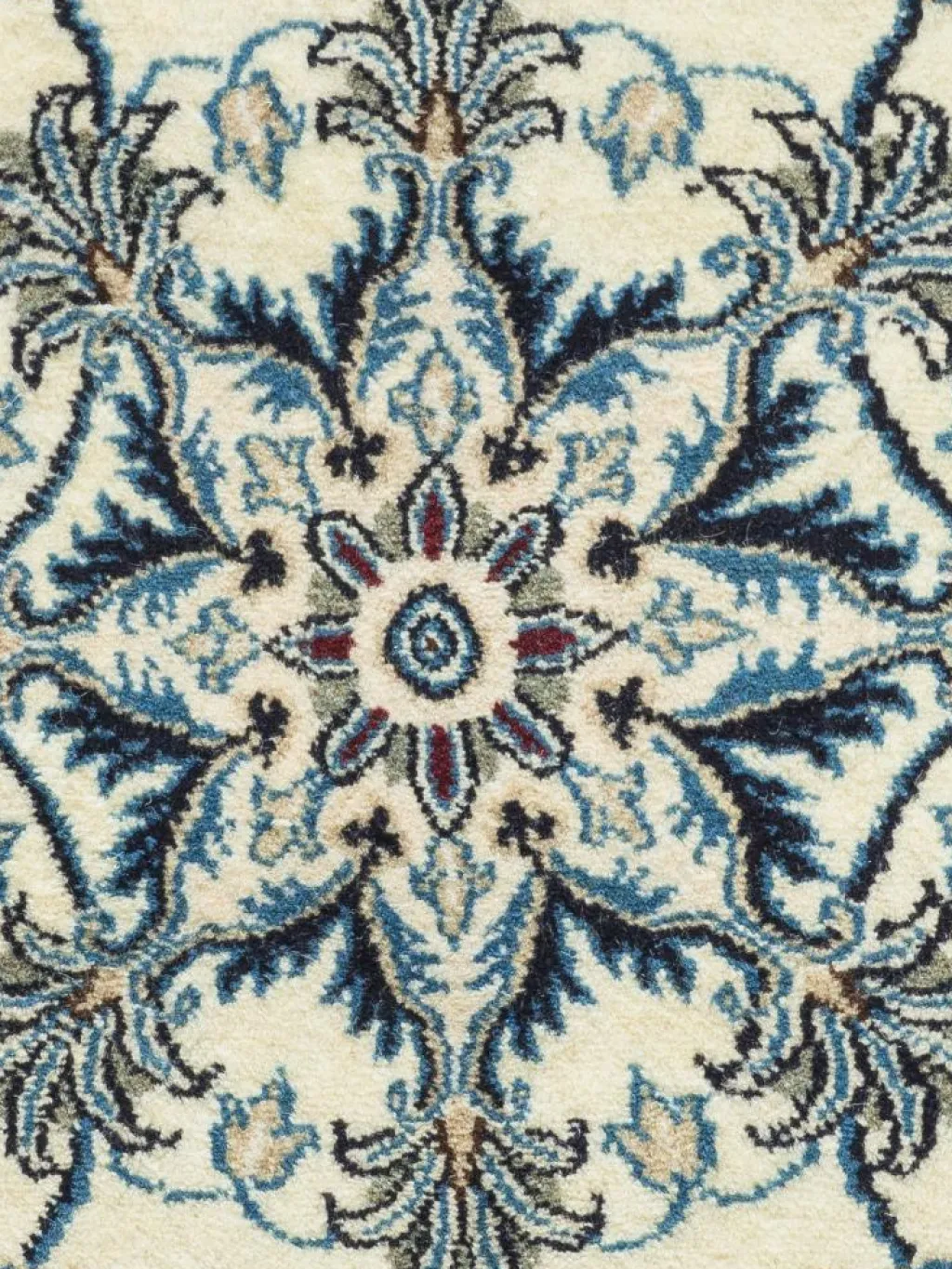 Kaschmar Nain 12 Lah|Kibek Clearance