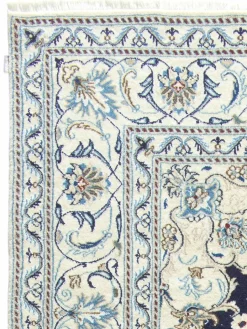 Kaschmar Nain 12 Lah|Kibek Clearance