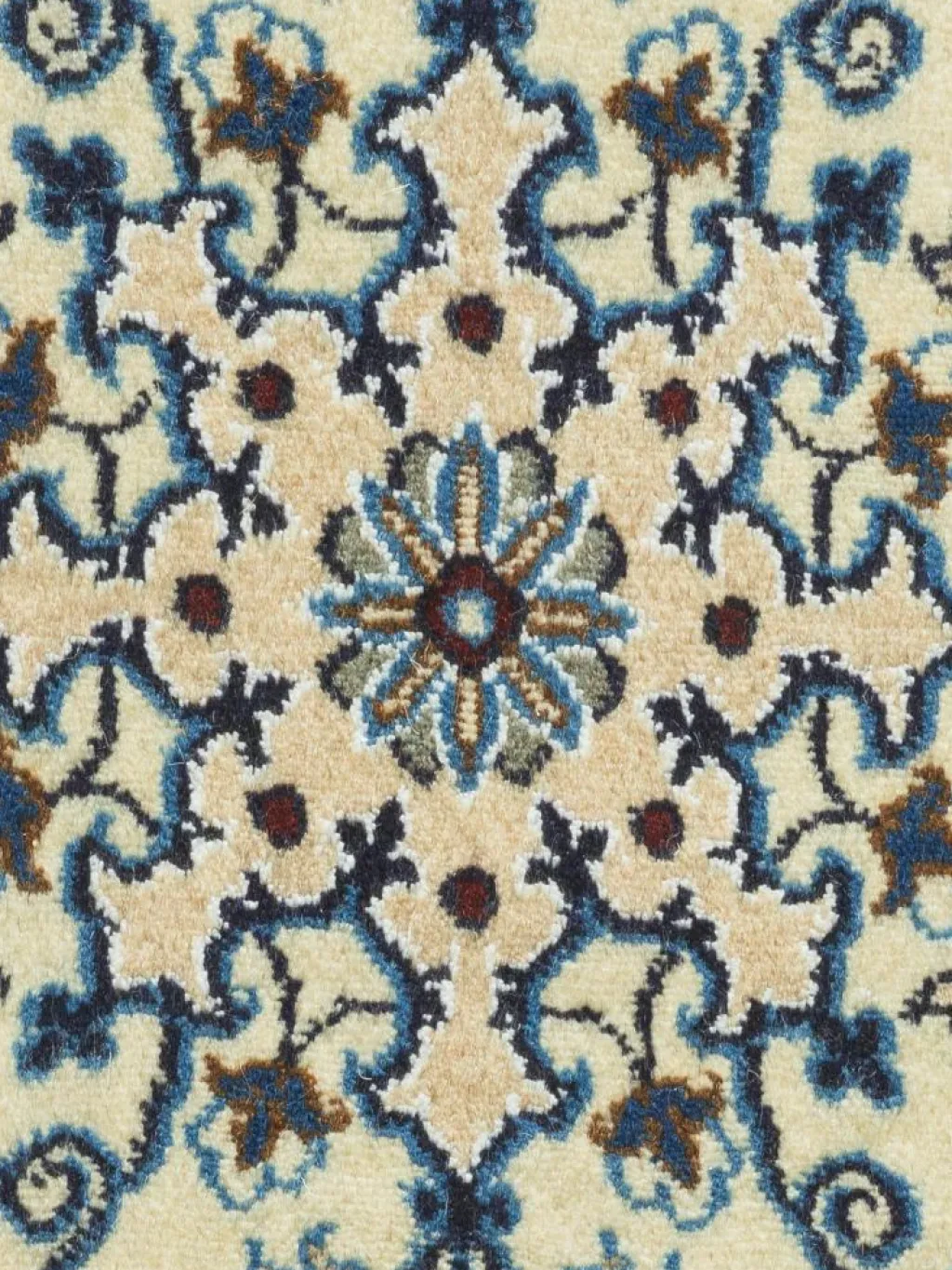 Kaschmar Nain 12 Lah|Kibek Clearance