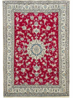 Kaschmar Nain 12 Lah|Kibek Sale