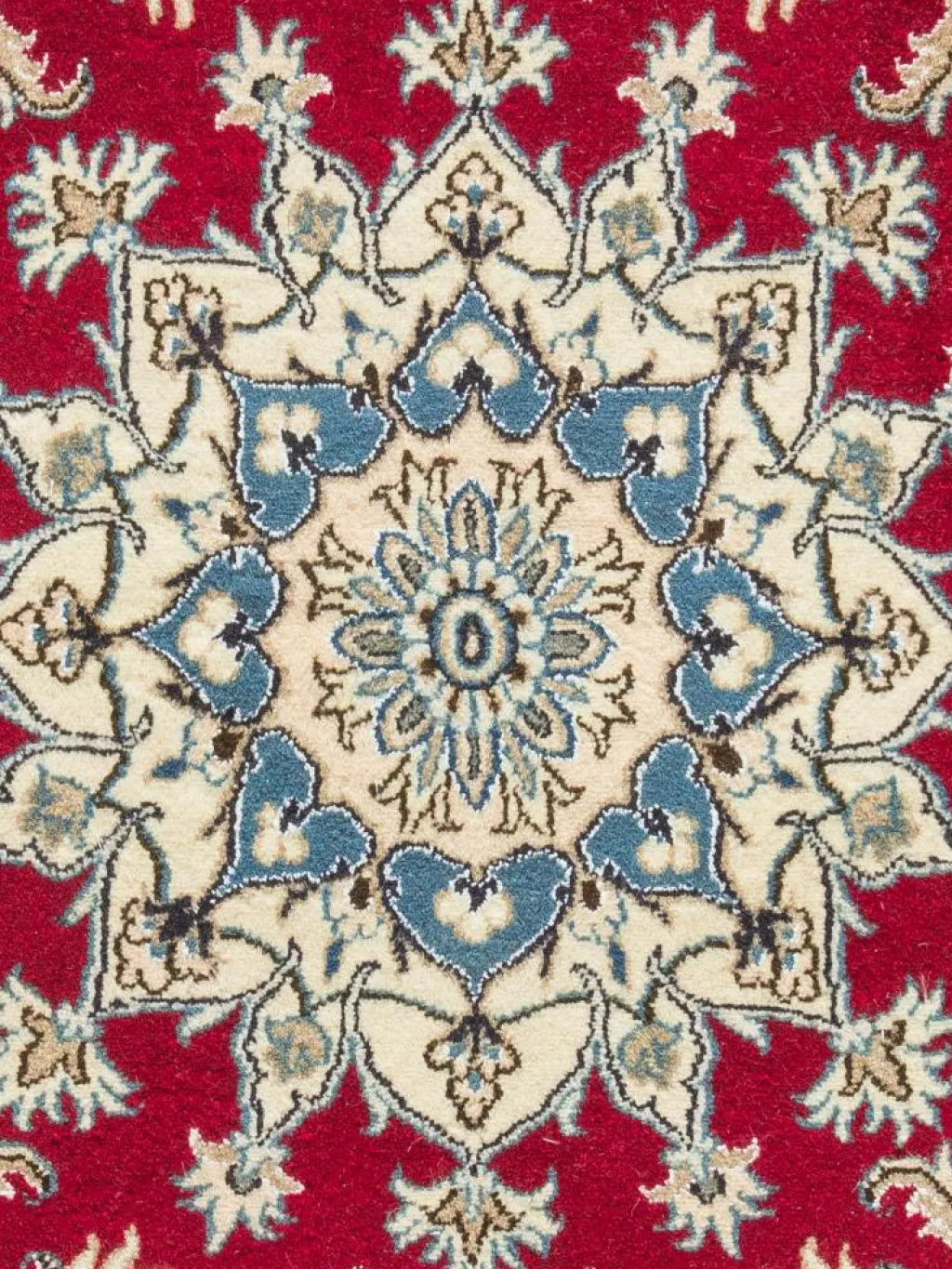 Kaschmar Nain 12 Lah|Kibek Sale