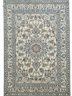 Kaschmar Nain 12 Lah|Kibek Sale