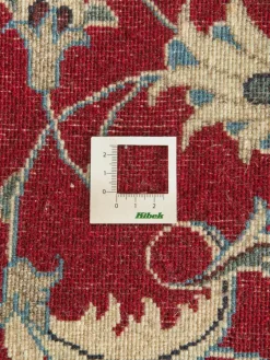 Kaschmar Nain 12 Lah|Kibek Best