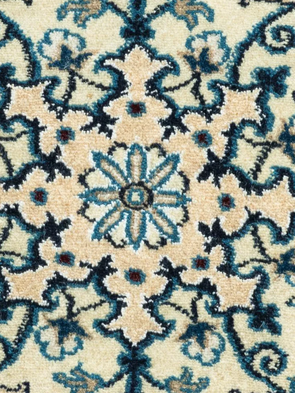 Kaschmar Nain 12 Lah|Kibek Discount