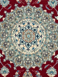 Kaschmar Nain 12 Lah|Kibek Online