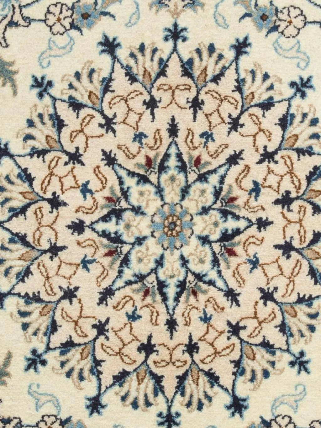 Kaschmar Nain 12 Lah|Kibek Clearance