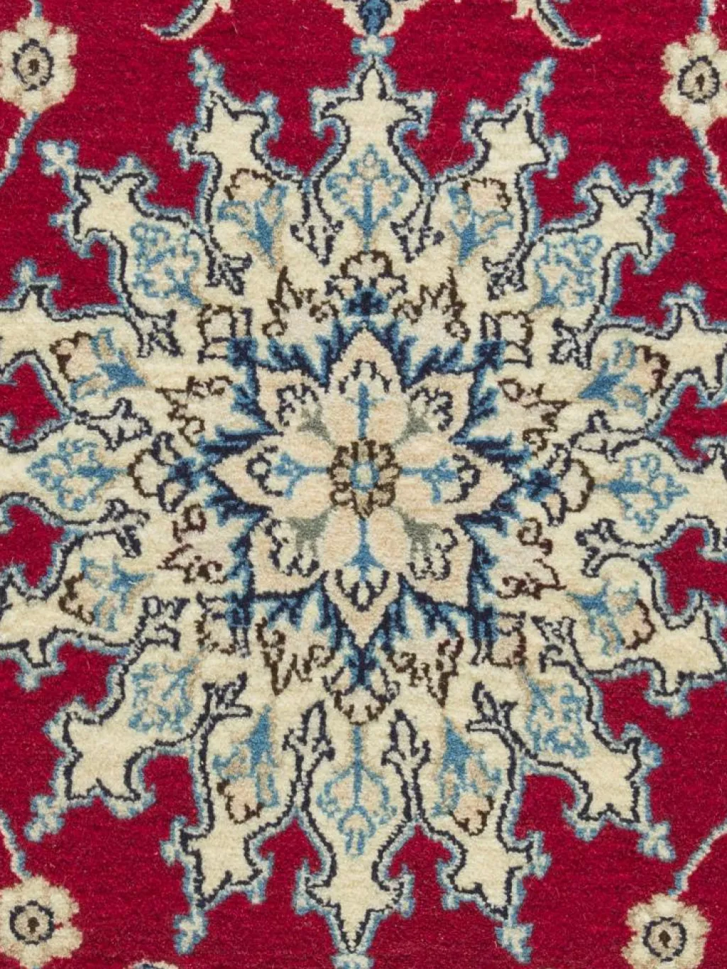 Kaschmar Nain 12 Lah|Kibek Sale