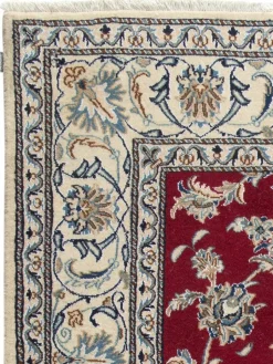 Kaschmar Nain 12 Lah|Kibek Sale