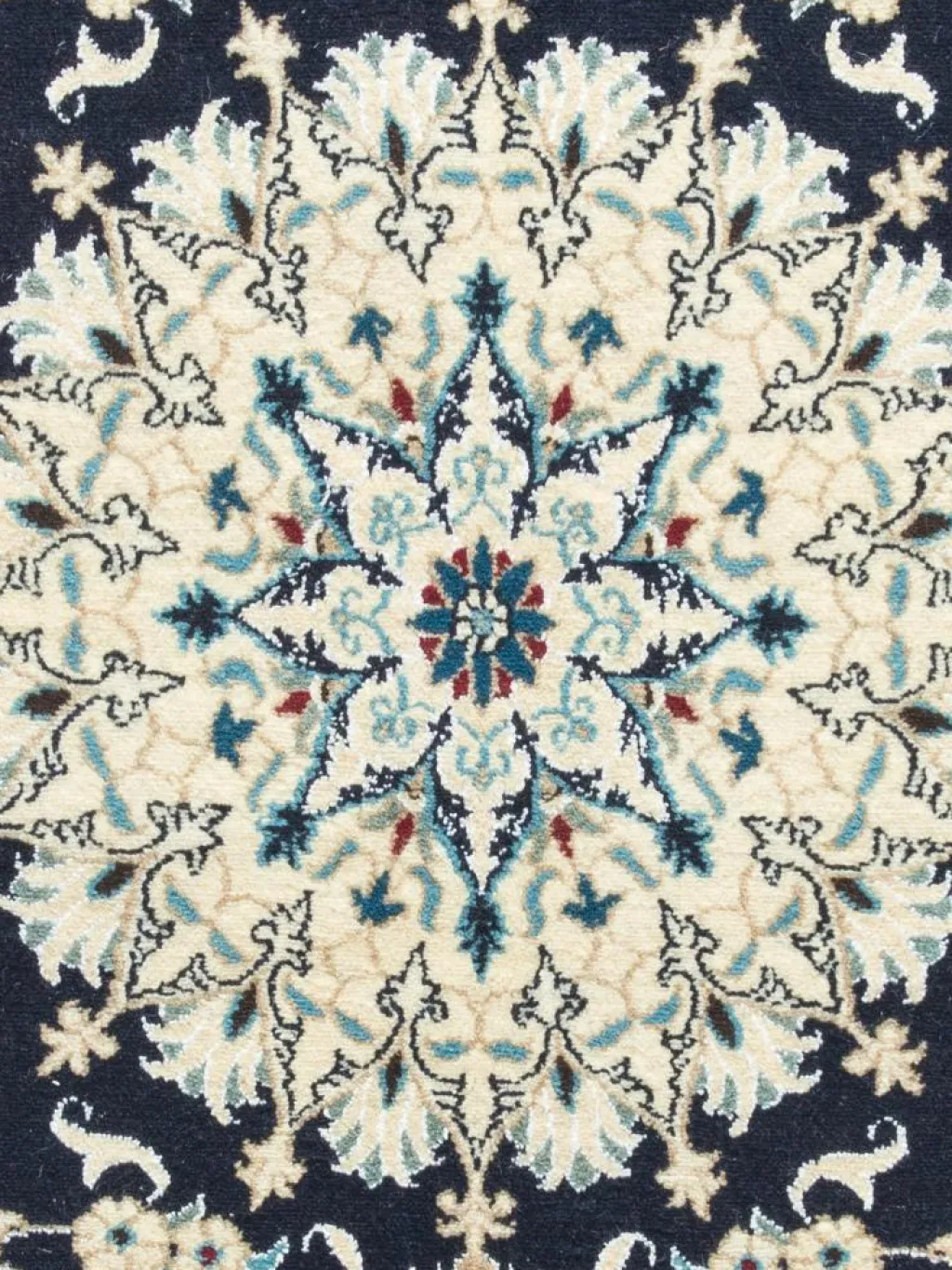 Kaschmar Nain 12 Lah|Kibek Clearance