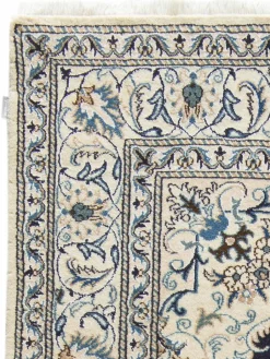 Kaschmar Nain 12 Lah|Kibek