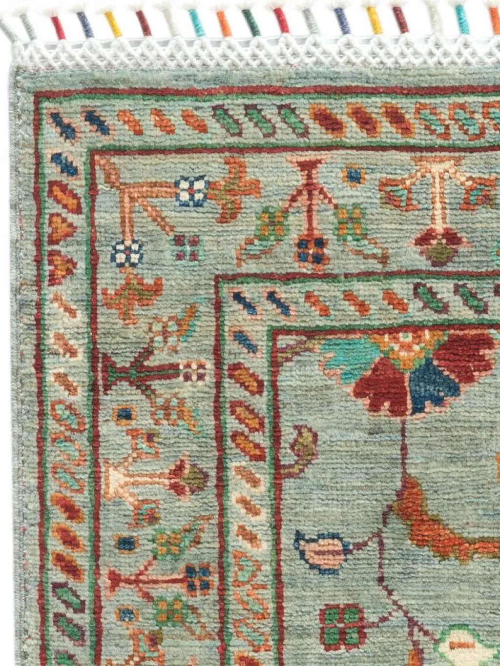 Kazak Phool|Kibek Sale