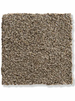 Kensington|Kibek Best