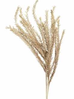 Klariola|Kibek Outlet