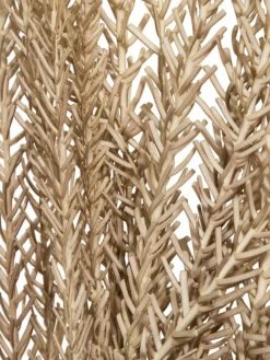 Klariola|Kibek Outlet