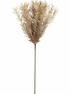 Klariolo|Kibek Outlet