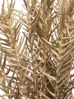 Klariolo|Kibek Outlet