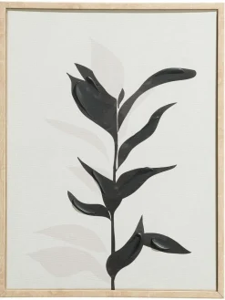 Klimata|Kibek Discount