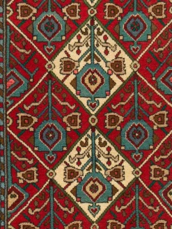 Koliai Hamadan|Kibek Hot