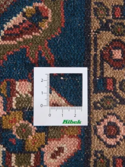 Koliai Hamadan|Kibek Hot